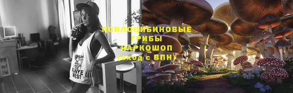 2c-b Козловка