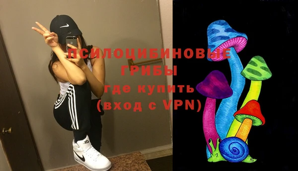 прущие крисы Кодинск