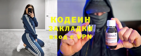 прущие крисы Кодинск