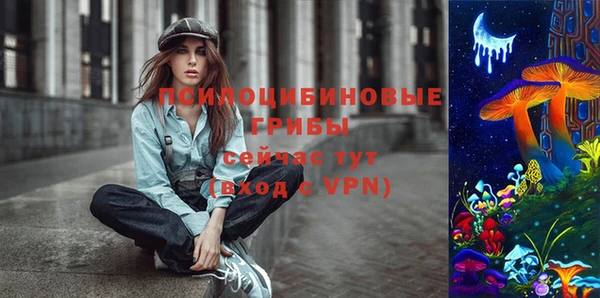 2c-b Козловка
