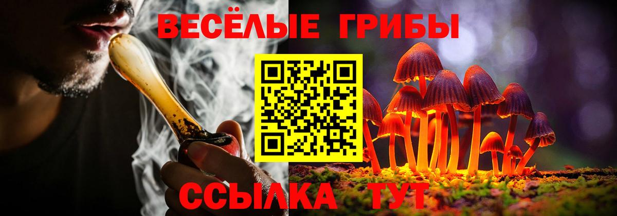 Псилоцибиновые грибы Magic Shrooms Махачкала