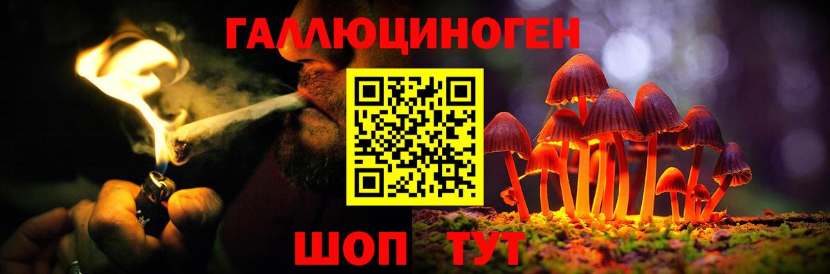 купить наркотики цена  Псилоцибиновые грибы Magic Shrooms  Вход с VPN  Махачкала 